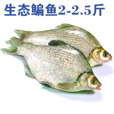 聯華易購OK卡 精選生鮮冷凍冷藏海鮮水產，鮮美直達您的餐桌