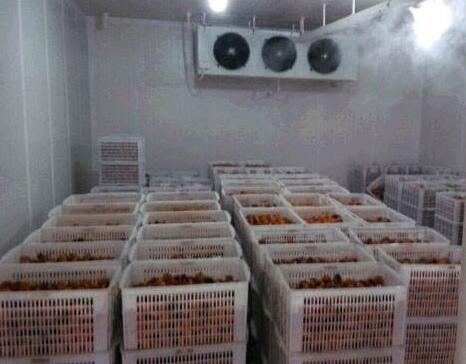 鄭州保鮮冷庫出租 水產品冷庫租賃